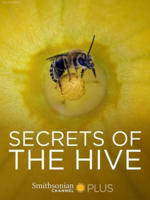 Secrets of the Hive poster