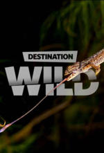 Destination WILD poster