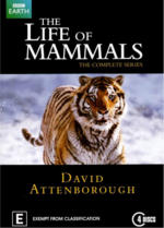 The Life of Mammals poster